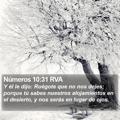 Números 10:31 RVA Bible Verse Image