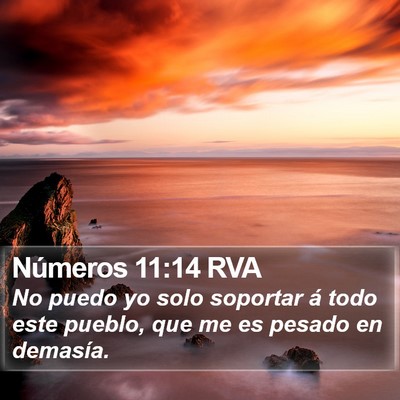 Números 11:14 RVA Bible Verse Image