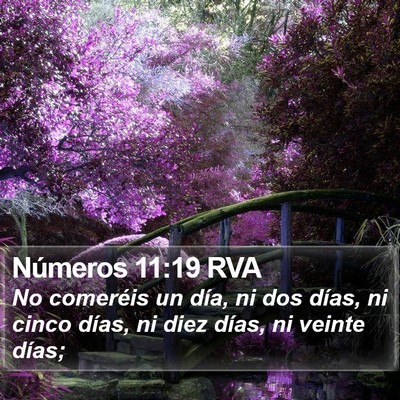 Números 11:19 RVA Bible Verse Image