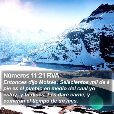 Números 11:21 RVA Bible Verse Image