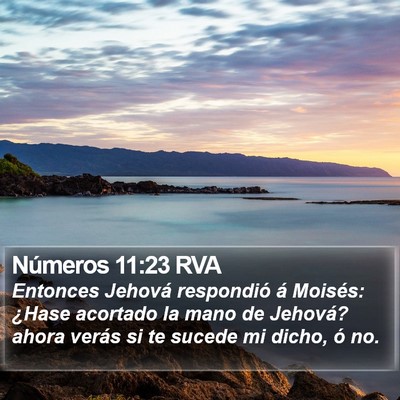 Números 11:23 RVA Bible Verse Image