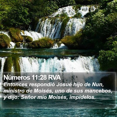 Números 11:28 RVA Bible Verse Image