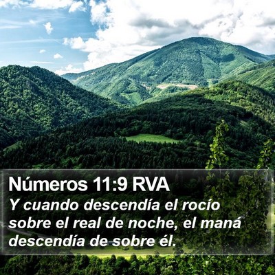 Números 11:9 RVA Bible Verse Image