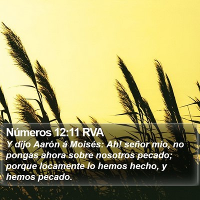 Números 12:11 RVA Bible Verse Image