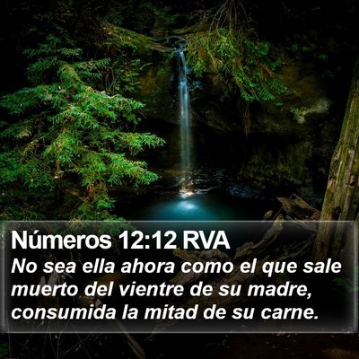 Números 12:12 RVA Bible Verse Image