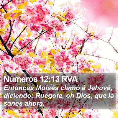 Números 12:13 RVA Bible Verse Image
