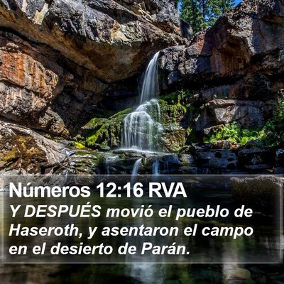 Números 12:16 RVA Bible Verse Image