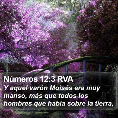 Números 12:3 RVA Bible Verse Image