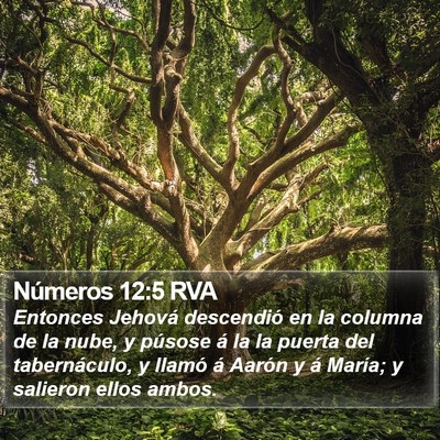 Números 12:5 RVA Bible Verse Image