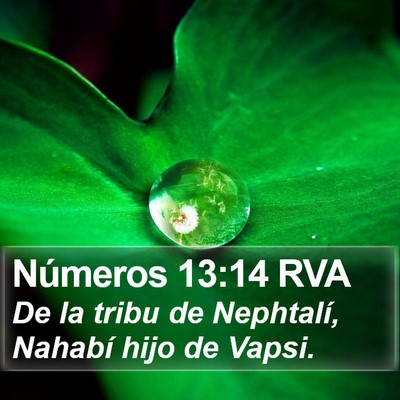 Números 13:14 RVA Bible Verse Image