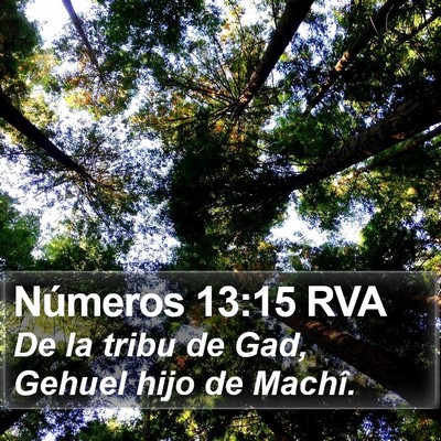 Números 13:15 RVA Bible Verse Image