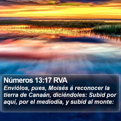 Números 13:17 RVA Bible Verse Image