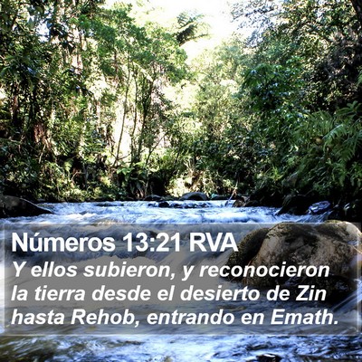 Números 13:21 RVA Bible Verse Image