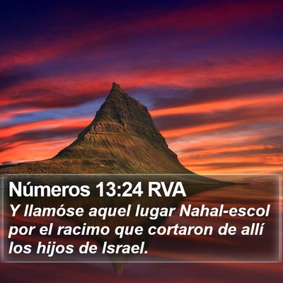 Números 13:24 RVA Bible Verse Image