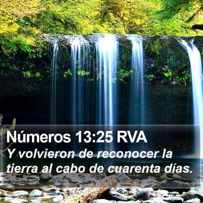 Números 13:25 RVA Bible Verse Image