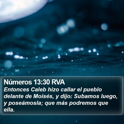 Números 13:30 RVA Bible Verse Image