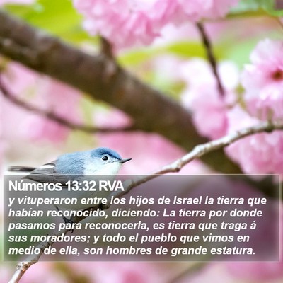 Números 13:32 RVA Bible Verse Image