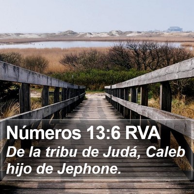 Números 13:6 RVA Bible Verse Image