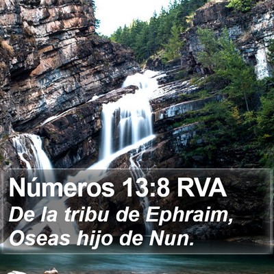 Números 13:8 RVA Bible Verse Image