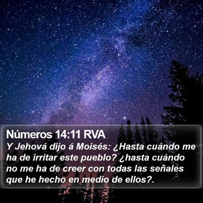 Números 14:11 RVA Bible Verse Image