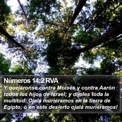 Números 14:2 RVA Bible Verse Image