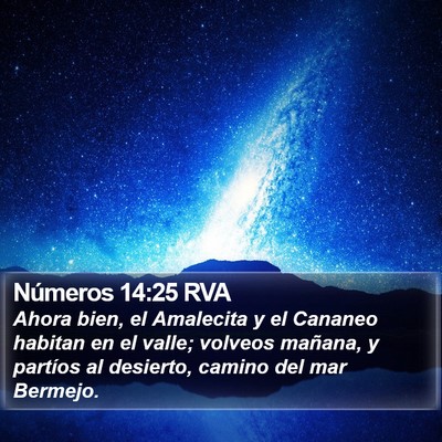 Números 14:25 RVA Bible Verse Image