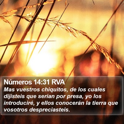 Números 14:31 RVA Bible Verse Image