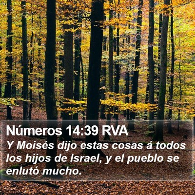 Números 14:39 RVA Bible Verse Image