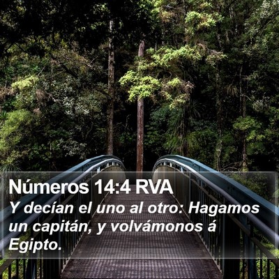 Números 14:4 RVA Bible Verse Image