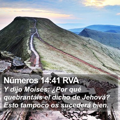 Números 14:41 RVA Bible Verse Image