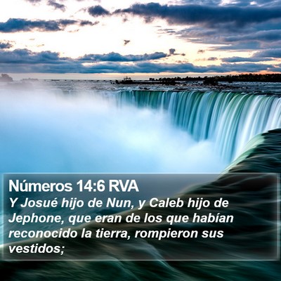 Números 14:6 RVA Bible Verse Image