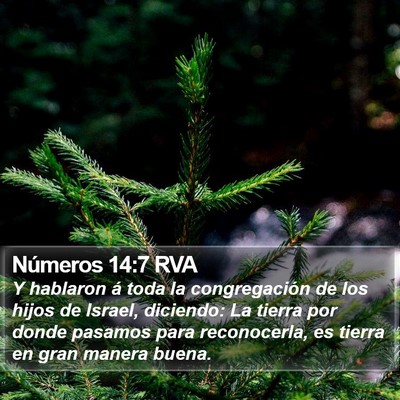 Números 14:7 RVA Bible Verse Image