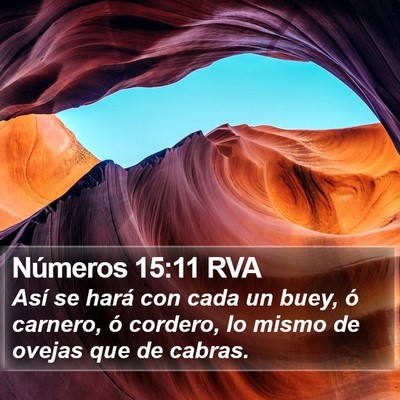 Números 15:11 RVA Bible Verse Image