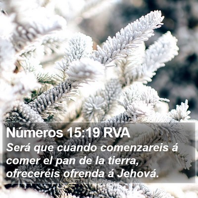 Números 15:19 RVA Bible Verse Image