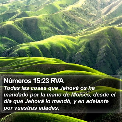 Números 15:23 RVA Bible Verse Image