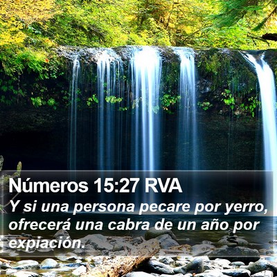 Números 15:27 RVA Bible Verse Image