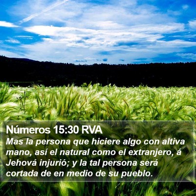 Números 15:30 RVA Bible Verse Image