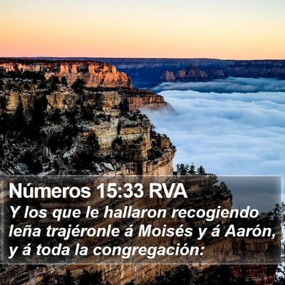 Números 15:33 RVA Bible Verse Image