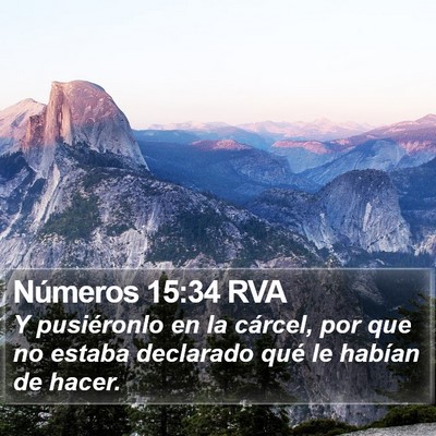 Números 15:34 RVA Bible Verse Image