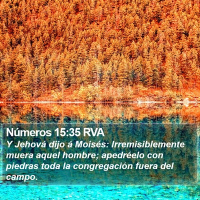 Números 15:35 RVA Bible Verse Image