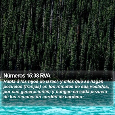 Números 15:38 RVA Bible Verse Image