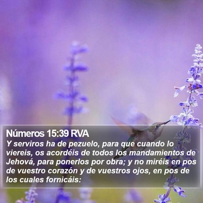 Números 15:39 RVA Bible Verse Image