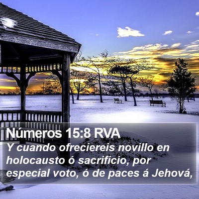 Números 15:8 RVA Bible Verse Image