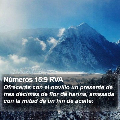 Números 15:9 RVA Bible Verse Image