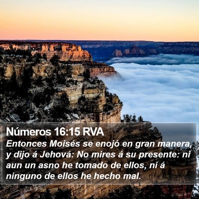 Números 16:15 RVA Bible Verse Image