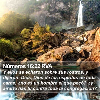 Números 16:22 RVA Bible Verse Image