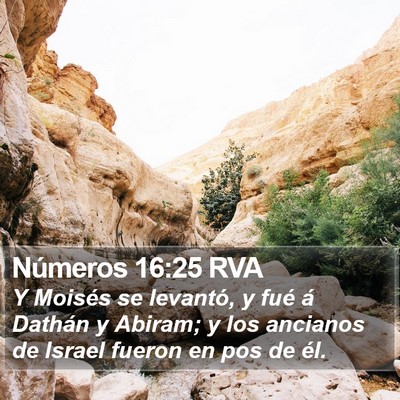Números 16:25 RVA Bible Verse Image