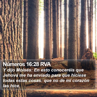 Números 16:28 RVA Bible Verse Image