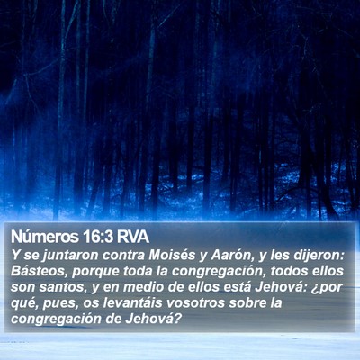 Números 16:3 RVA Bible Verse Image