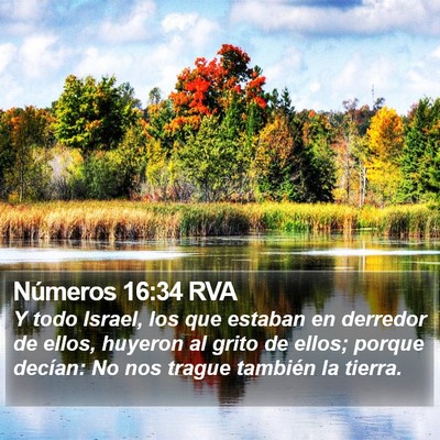 Números 16:34 RVA Bible Verse Image